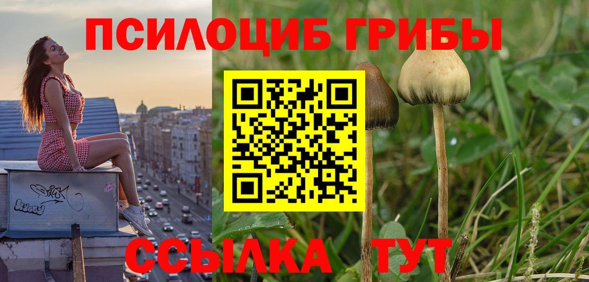 Галлюциногенные грибы мухоморы Ишим