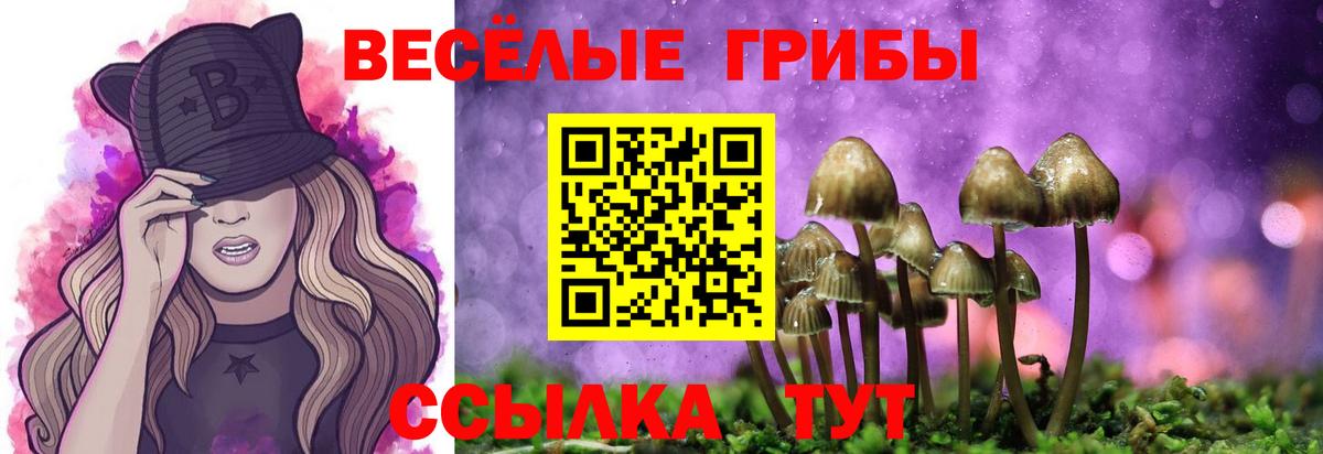 Меф мяу мяу Ишим
